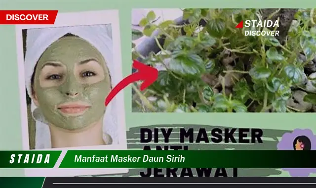 manfaat masker daun sirih