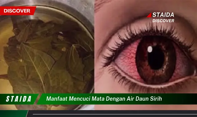 manfaat mencuci mata dengan air daun sirih