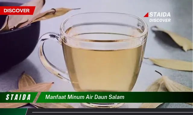 manfaat minum air daun salam