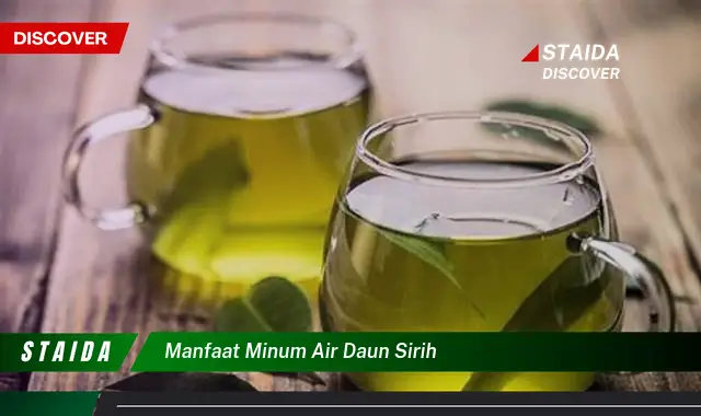 manfaat minum air daun sirih