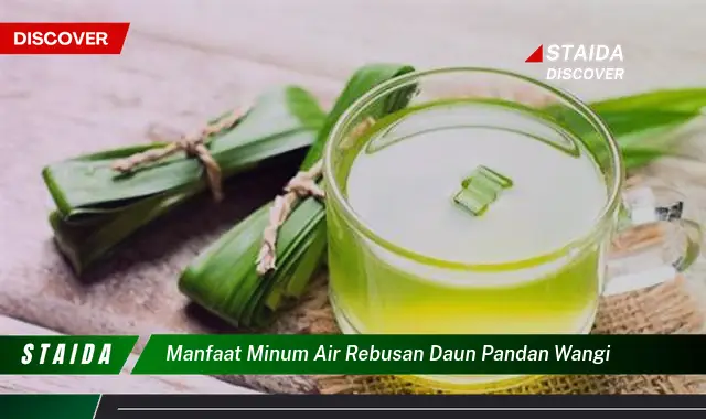 manfaat minum air rebusan daun pandan wangi