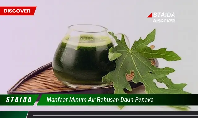 manfaat minum air rebusan daun pepaya