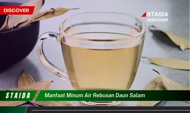 manfaat minum air rebusan daun salam