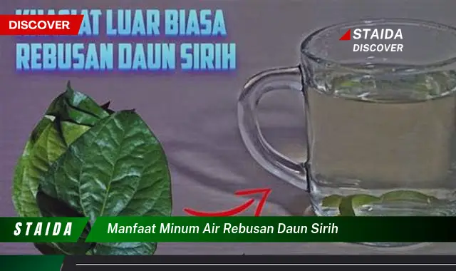 manfaat minum air rebusan daun sirih