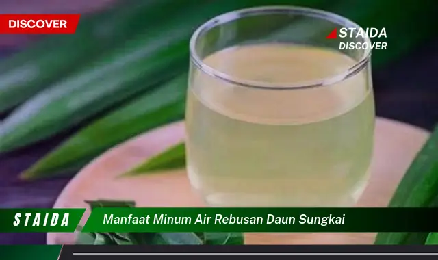 manfaat minum air rebusan daun sungkai