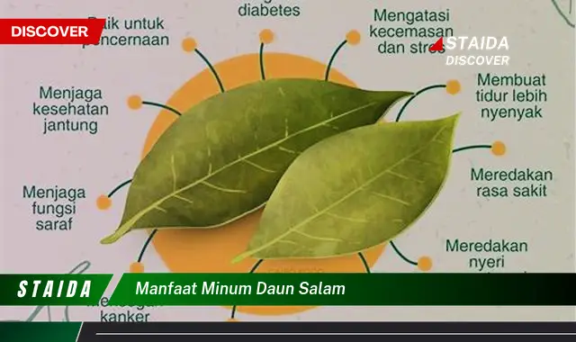 manfaat minum daun salam