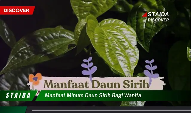 manfaat minum daun sirih bagi wanita