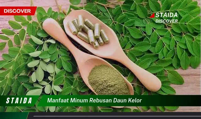 manfaat minum rebusan daun kelor