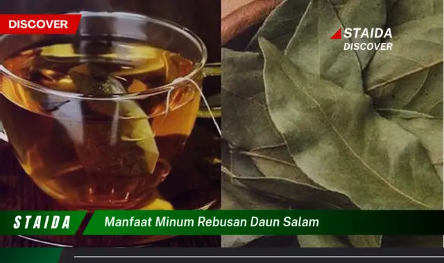 manfaat minum rebusan daun salam