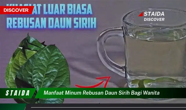 manfaat minum rebusan daun sirih bagi wanita