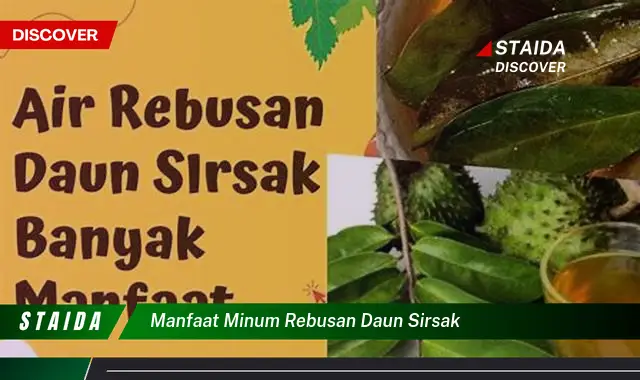 manfaat minum rebusan daun sirsak