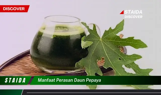 manfaat perasan daun pepaya