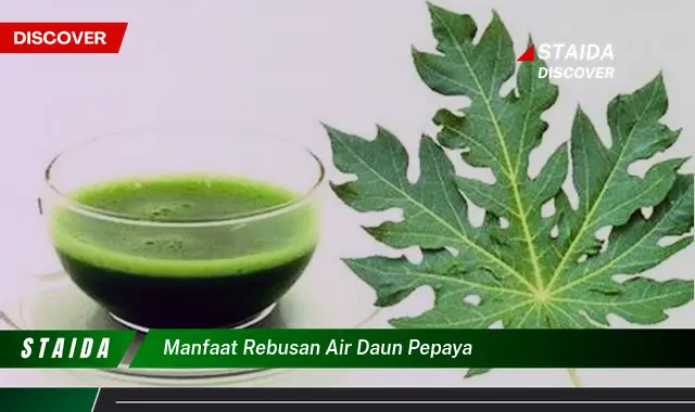 manfaat rebusan air daun pepaya