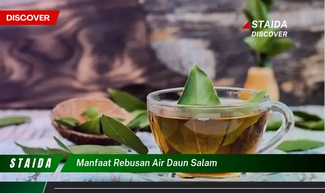 manfaat rebusan air daun salam