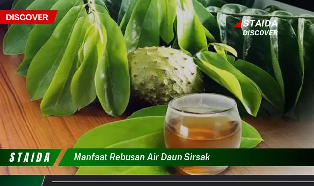 manfaat rebusan air daun sirsak