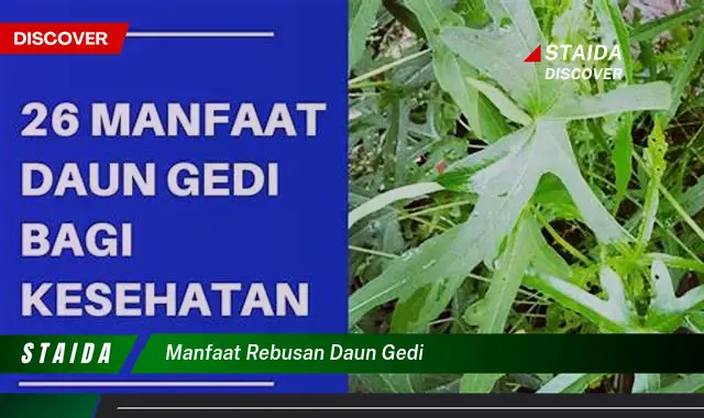 manfaat rebusan daun gedi