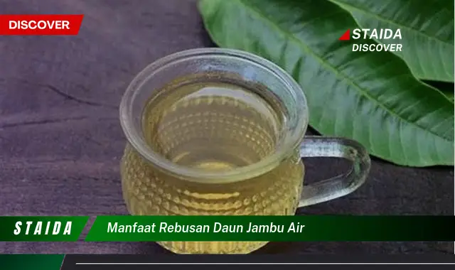 manfaat rebusan daun jambu air