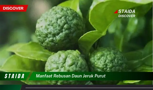 manfaat rebusan daun jeruk purut