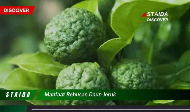 manfaat rebusan daun jeruk