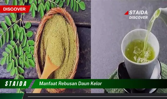 manfaat rebusan daun kelor