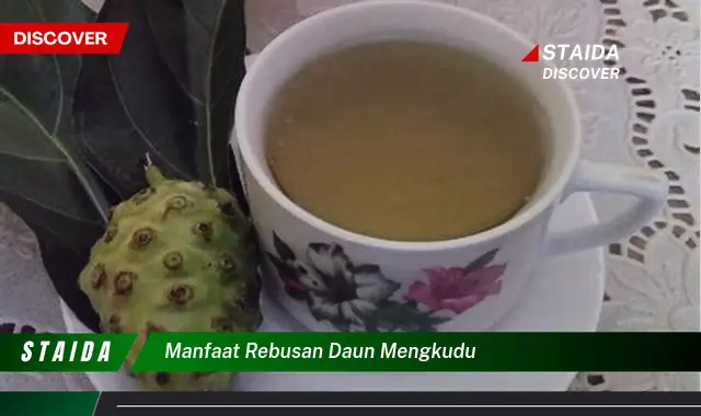 manfaat rebusan daun mengkudu