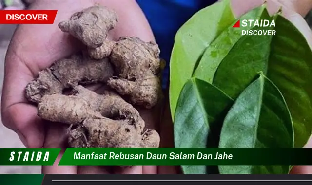 manfaat rebusan daun salam dan jahe