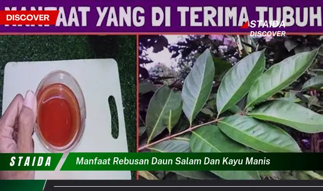 manfaat rebusan daun salam dan kayu manis