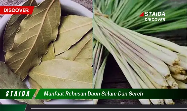 manfaat rebusan daun salam dan sereh