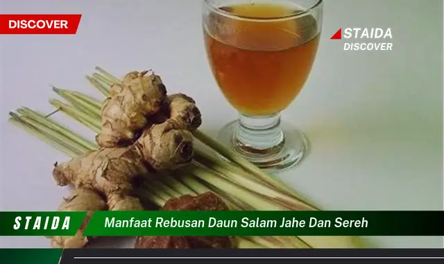 manfaat rebusan daun salam jahe dan sereh