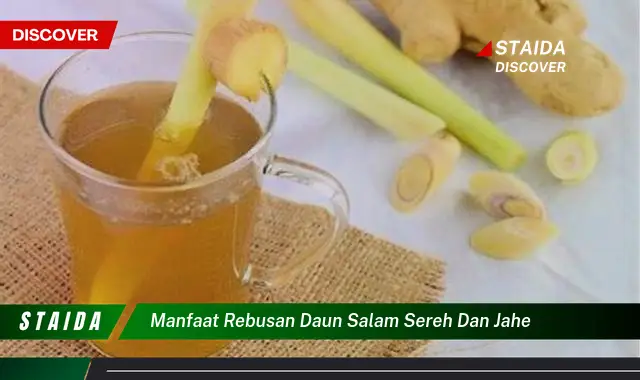 manfaat rebusan daun salam sereh dan jahe