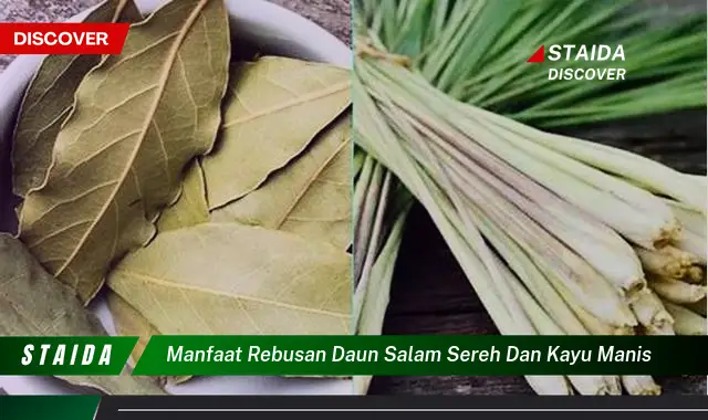 manfaat rebusan daun salam sereh dan kayu manis