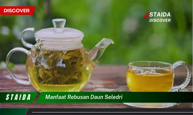 manfaat rebusan daun seledri