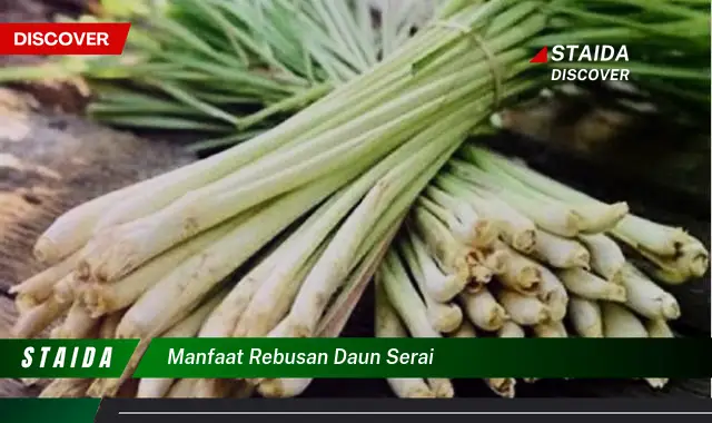 manfaat rebusan daun serai