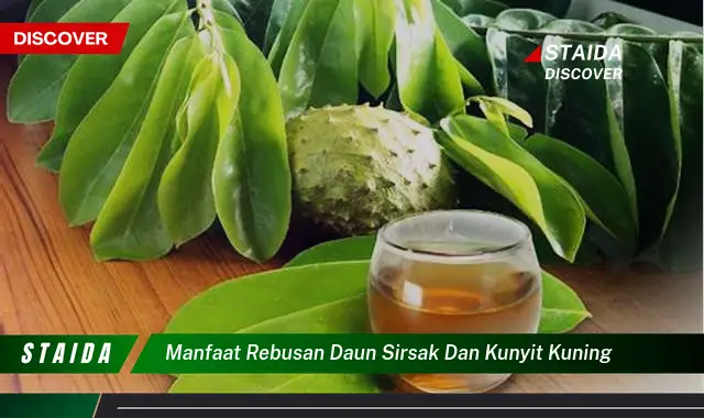 manfaat rebusan daun sirsak dan kunyit kuning