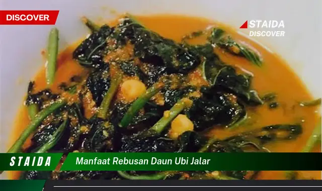 manfaat rebusan daun ubi jalar