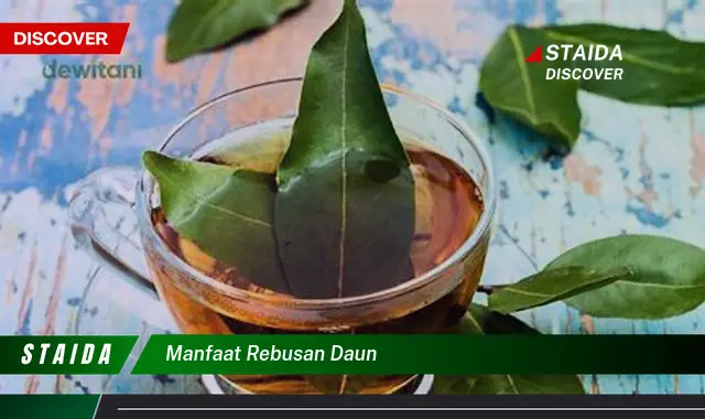 manfaat rebusan daun