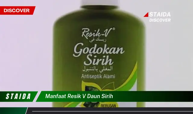 manfaat resik v daun sirih