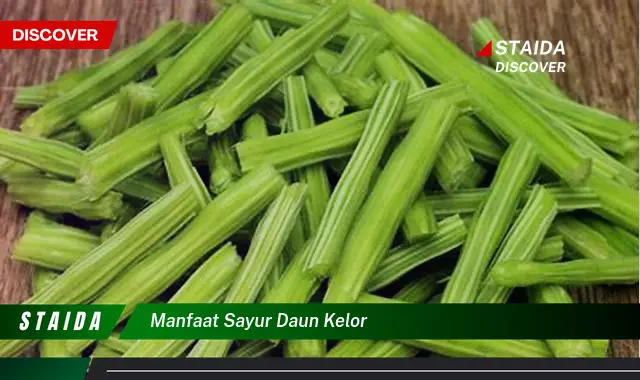 manfaat sayur daun kelor