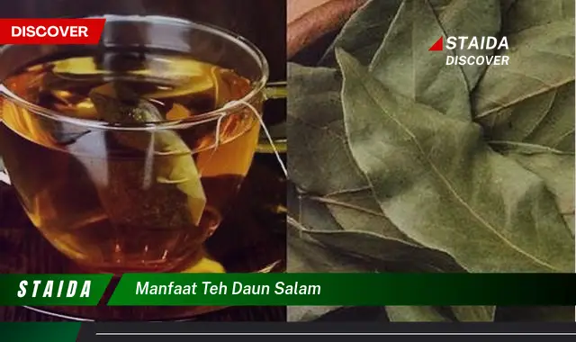 manfaat teh daun salam